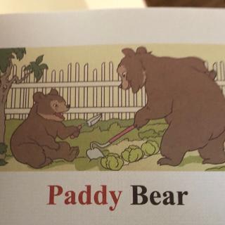 Paddy Bear