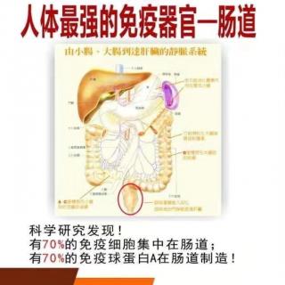 肠道排毒的重要性