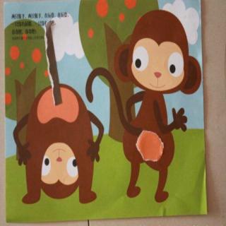 猴子的屁股为什么是红的？