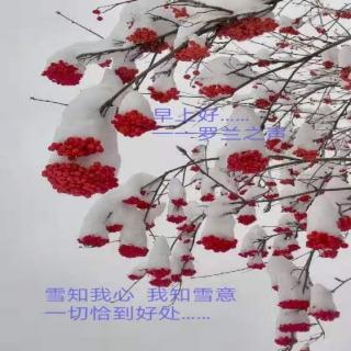 左丽珍《雪落成中式对白》