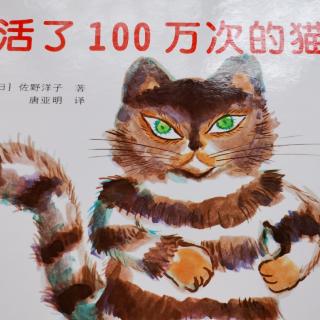 运城幼专附属幼儿园--张老师《活了100万次的猫》