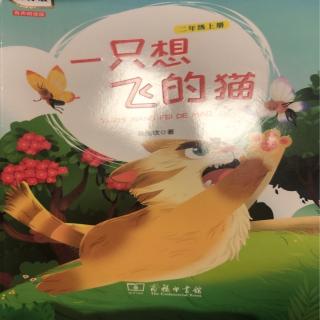 一只想飞的猫