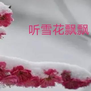 《晓喃笔下的文字》诵  雪花飘飘