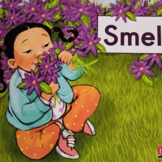 smells词3