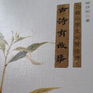 42.《古诗有故事》—《题临安邸》