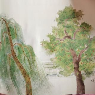 郭宸妡～小柳树和小枣树
