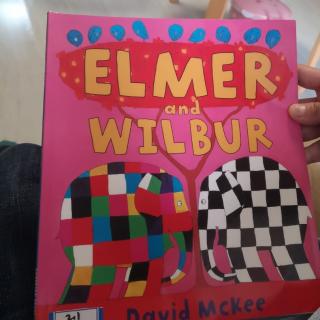 Elmer and Wilbur by Darcy