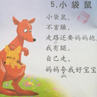 儿歌16.小袋鼠