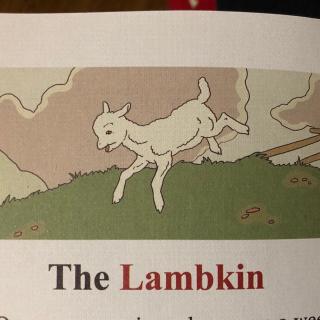 The Lambkin