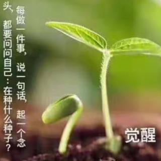 《因果法则》第七讲：（上）