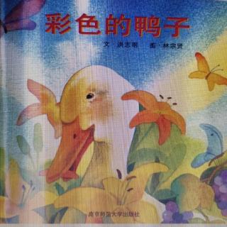 Lily老师讲故事——《彩色的鸭子》