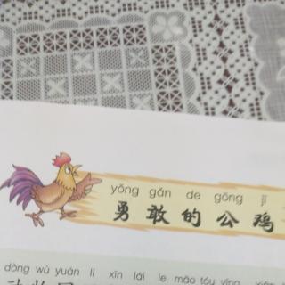 文化路幼儿园紫藤分园大一班孙博莹第67期《勇敢的公鸡🐓》