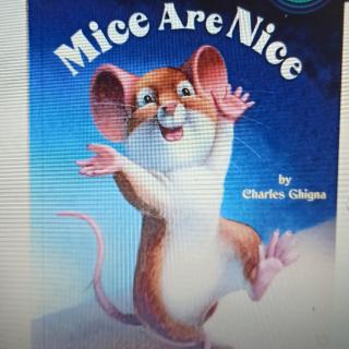 Mice are Nice 单词课文