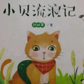 猫妈妈生了两只小猫