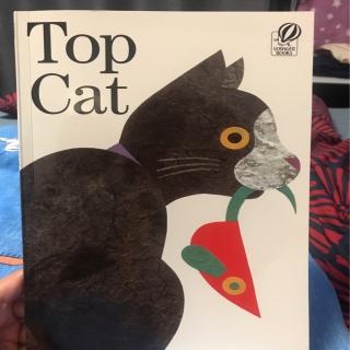 Top Cat