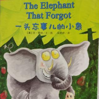 The elephant that forgot