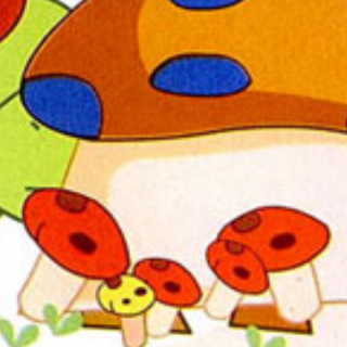 采蘑菇——苑苑老师爱❤️的小故事