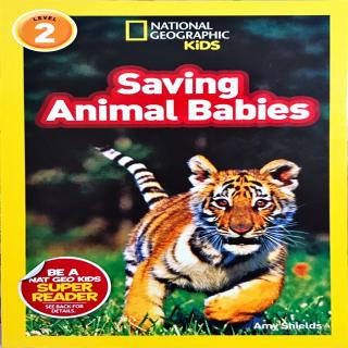 202. Saving Animal Babies