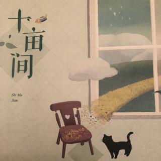 《一只猫的智慧》丁立梅