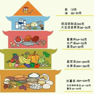 学龄儿童膳食营养指导