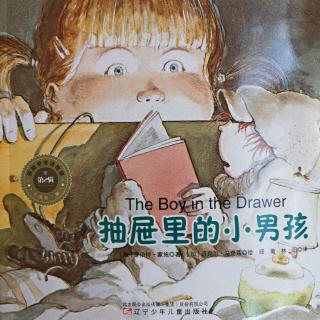 英文绘本The boy in the drawer