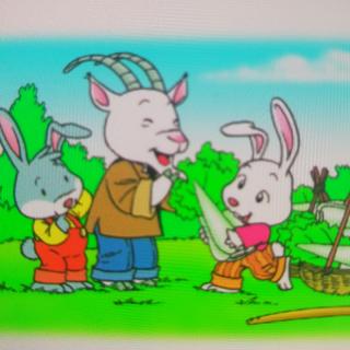 【启明星•常青藤幼儿园7】园长妈妈睡前故事《小白兔和小灰兔》