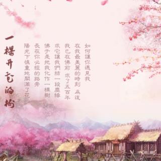 《一棵开花的树》作者：席慕容