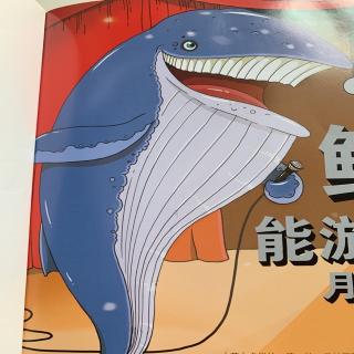 科普故事1-鲸鱼🐳
