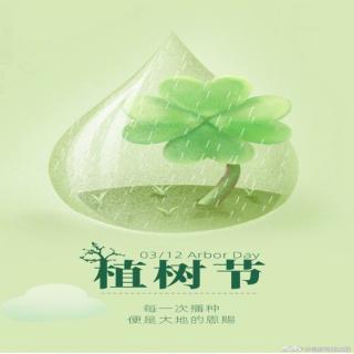 植一圈年轮，任时光荏苒