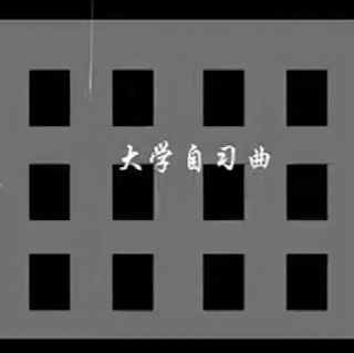 167.忆傻X