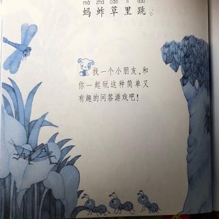 《什么虫儿空中飞》