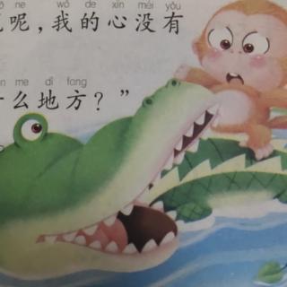 鳄鱼🐊和猴子🐵