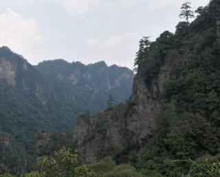 水调歌头·重上井冈山