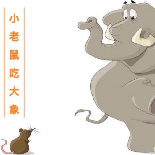 28【街幼与你同在】晚安故事——《小老鼠吃大象》陈雪老师