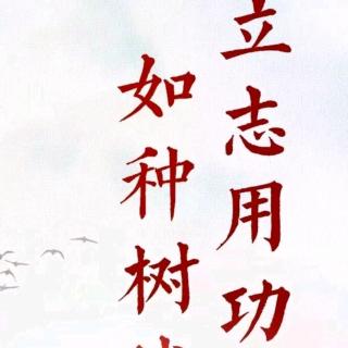 传统节日—杨宇轩