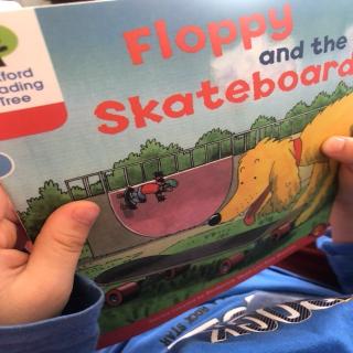 Floppy and the Skateboard