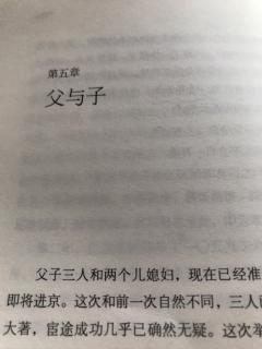 《苏东坡 传》第五章 父与子1