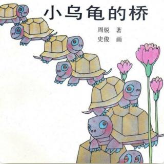 大三班-唐蓁蓁-《小乌龟的桥》