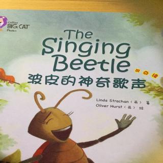 The singing beetle