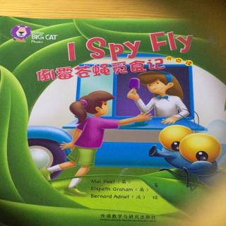 I spy fly