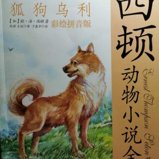 11《西顿动物小说全集》之《狐狗乌利》