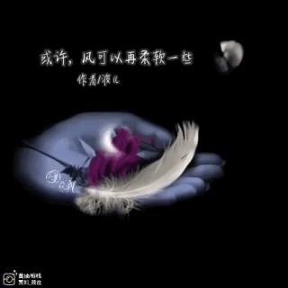 《或许，风可以再柔软一些》作者/波儿 诵读/贾如