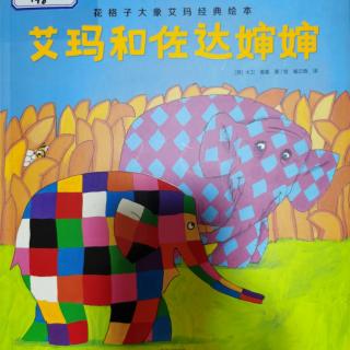 花格子大象艾玛经典绘本《艾玛和佐达婶婶》