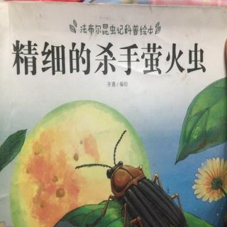 精细的杀手萤火虫