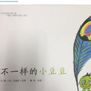 《不一样的小豆豆》