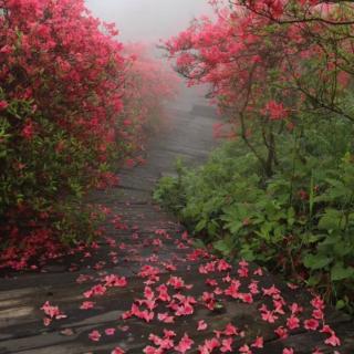 哪怕险峻高山，也要垂直攀登