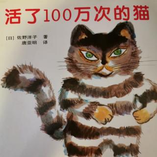 活了一百万次的猫