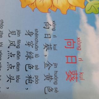 殷老师亲子朗读《向日葵》