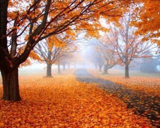 徐健伟诵《有你的秋天很美丽》