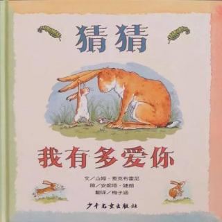 百树幼儿园中班睡前故事《猜猜我有多爱你》